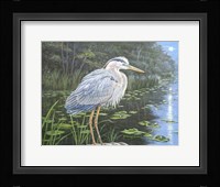 Blue Heron Moon Fine Art Print
