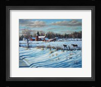 Horsing Around Fine Art Print