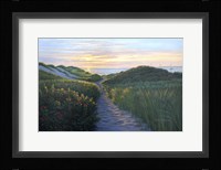 Through The Dunes Fine Art Print