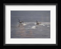 Refracted Light Fine Art Print