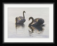 Beauty And Grace Fine Art Print