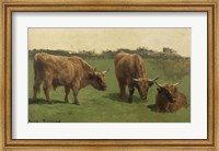 Three Studies of Reddish-Haired Cows on a Meadow Fine Art Print