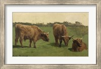 Three Studies of Reddish-Haired Cows on a Meadow Fine Art Print