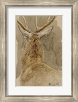 Study of a Deer Fine Art Print