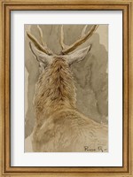 Study of a Deer Fine Art Print