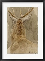 Study of a Deer Fine Art Print