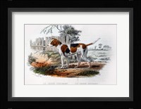 Dog I Fine Art Print