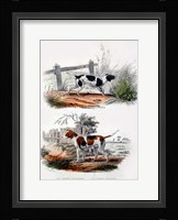 Pair of Dogs I Fine Art Print