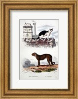Cat and Leaopard Fine Art Print