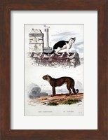 Cat and Leaopard Fine Art Print