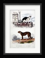 Cat and Leaopard Fine Art Print