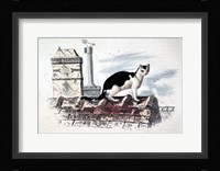 Cat on Roof Top Fine Art Print