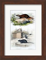 Badger and Mouse Fine Art Print