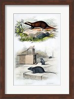 Badger and Mouse Fine Art Print
