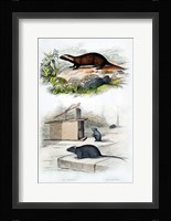 Badger and Mouse Fine Art Print