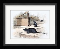 Mouse Fine Art Print