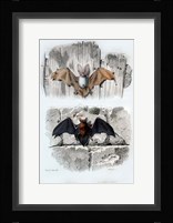 Bats Fine Art Print