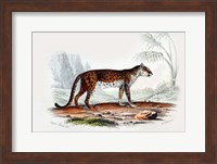 Leopard II Fine Art Print