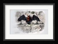 Bat I Fine Art Print