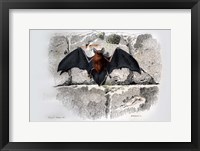 Bat I Fine Art Print