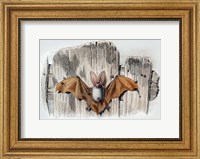 Bat II Fine Art Print