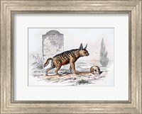 Hyena I Fine Art Print