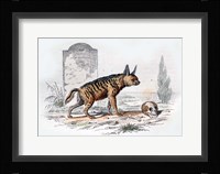 Hyena I Fine Art Print