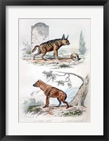 Pair of Hyenas Fine Art Print