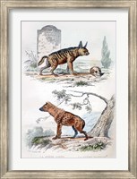 Pair of Hyenas Fine Art Print