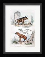 Pair of Hyenas Fine Art Print