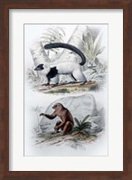 Pair of Mammals Fine Art Print