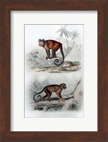 Pair of Monkeys IX Fine Art Print