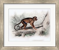 Monkey X Fine Art Print