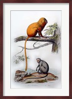 Pair of Monkeys X Fine Art Print