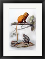 Pair of Monkeys X Fine Art Print