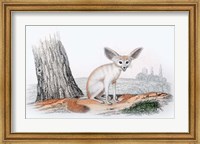 Mammal VI Fine Art Print