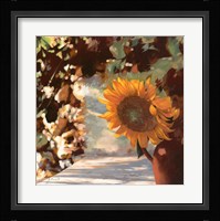 Il Girasole Fine Art Print