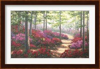 Woodland Trail Fine Art Print