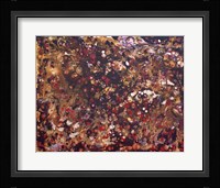 Liquid Energy II Fine Art Print