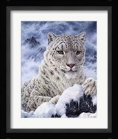 Cat Fine Art Print