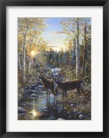 Whitetail Deer Fine Art Print