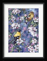 Gold Finch & Blossoms Fine Art Print