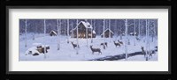 Holiday Silence Fine Art Print