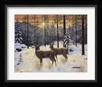 Evening Silence Fine Art Print