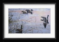 Sunset Serenity Fine Art Print