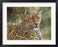 Leopard Portrait Fine Art Print
