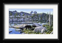 Black Bear Fine Art Print