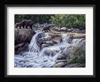 Entiat Falls-Grizzly Family Fine Art Print