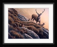 Deer And Grouse Fine Art Print
