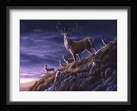 Threatening Sky Red Deer Fine Art Print